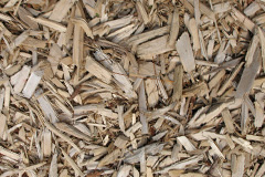 biomass boilers Llanbedrog